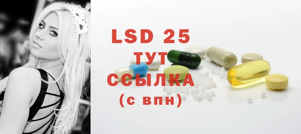 крисы Вязьма
