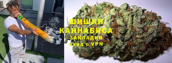 крисы Вязьма