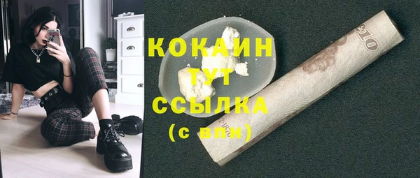 прущие грибы Волосово